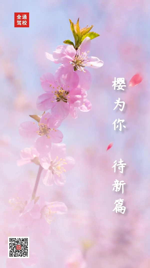 640.webp (3)