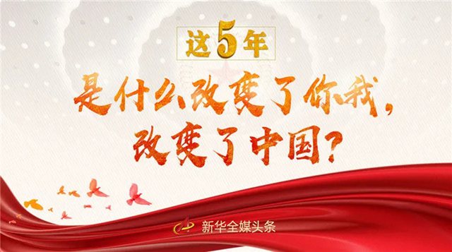 11.webp